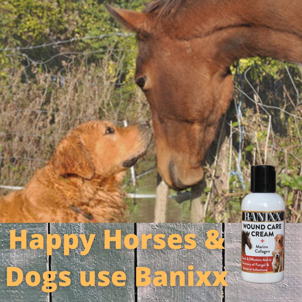 BANIXX Wound Care Cream w/Marine Collagen 4oz