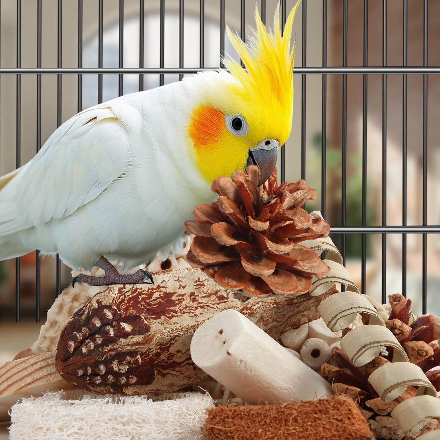 Kyouki Bird Toys Parrot Toys Natural Bird Foraging Box Foot For Parakeets,Cockatiels,Conures,Love Birds,And Other Small To Mediu