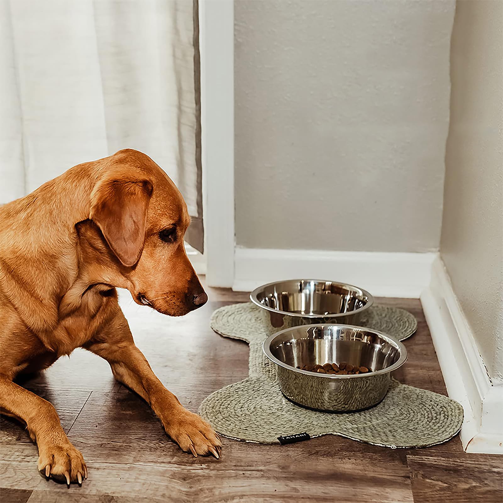YINGFAN Stainless Steel Dog Bowls, 2 Pack Metal Dog Bowls with Non-Slip Rubber Base, Durable Food and Water Bowl for Small, Pupp