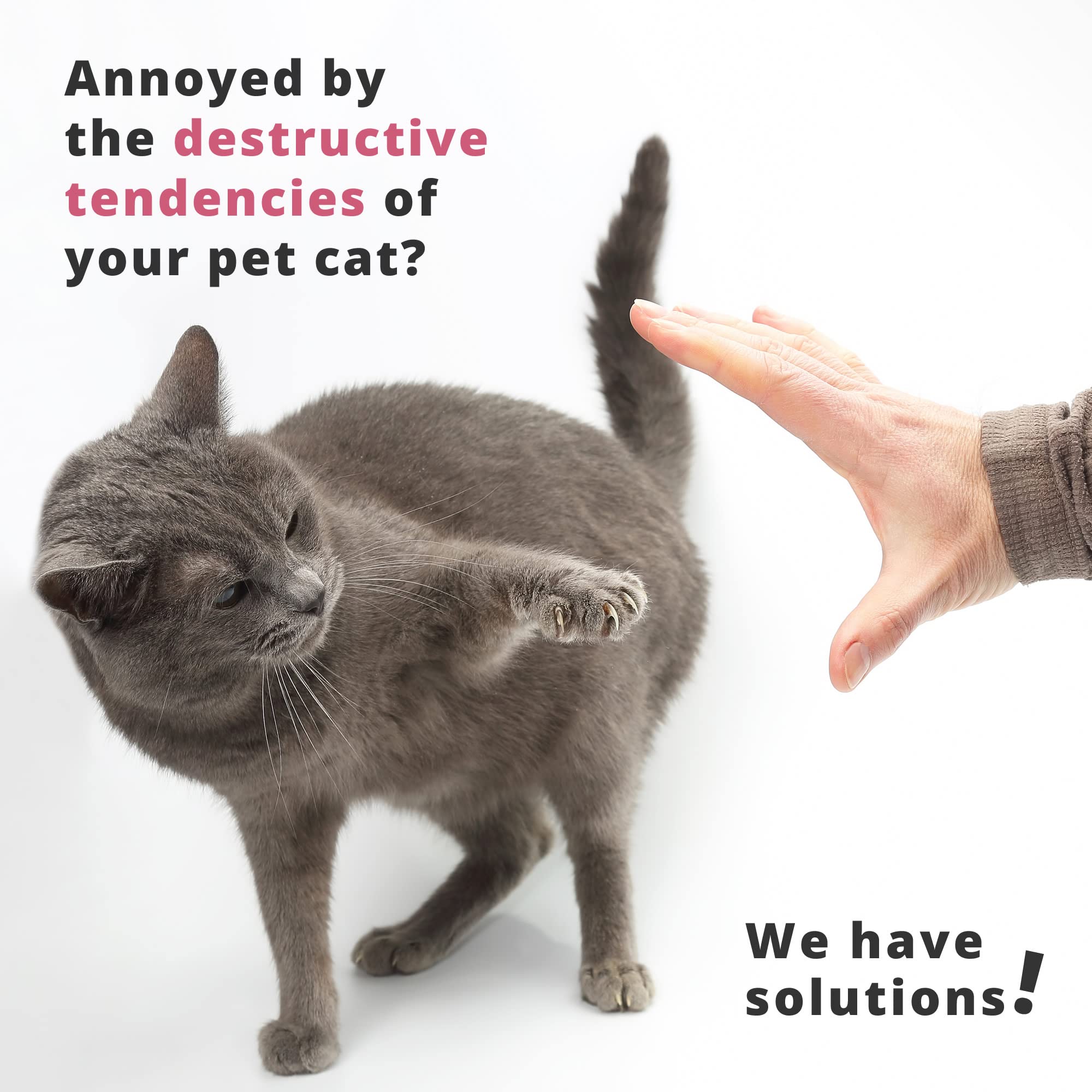 SHINY PET Cat Nail Clippers - Ergonomic Stainless Steel Grooming Tools for Small Pets - Green, Flat Size, Includes Ebook Guide