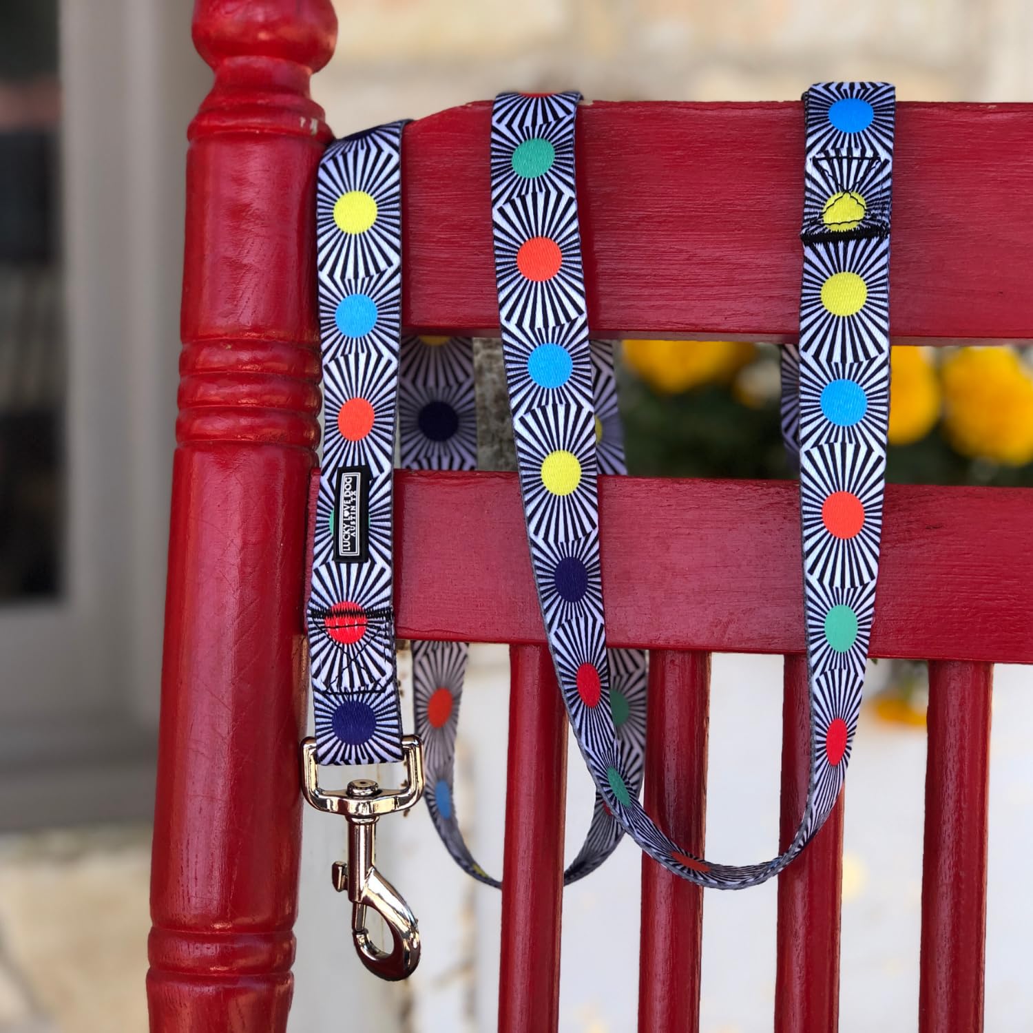 Lucky Love Dog, Adjustable Fun Style Martingale Collar For Dogs, Comfy & Bright Color, Premium No Slip Dog Collar - (Small, Soco