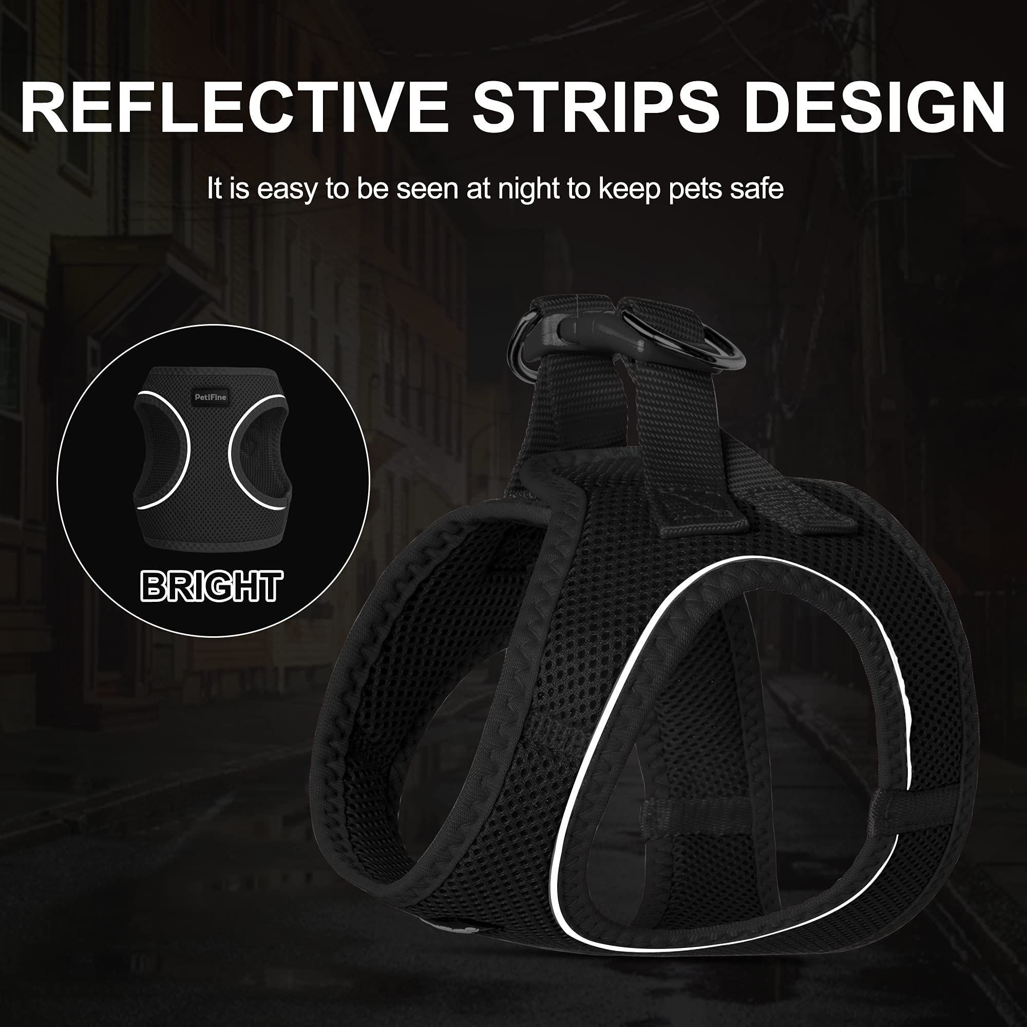 Petifine Extra Small Step In Dog Harness And Leash Set, Cat Harness And Leash Escape Proof, All Weather Mesh Reflective, Step-In