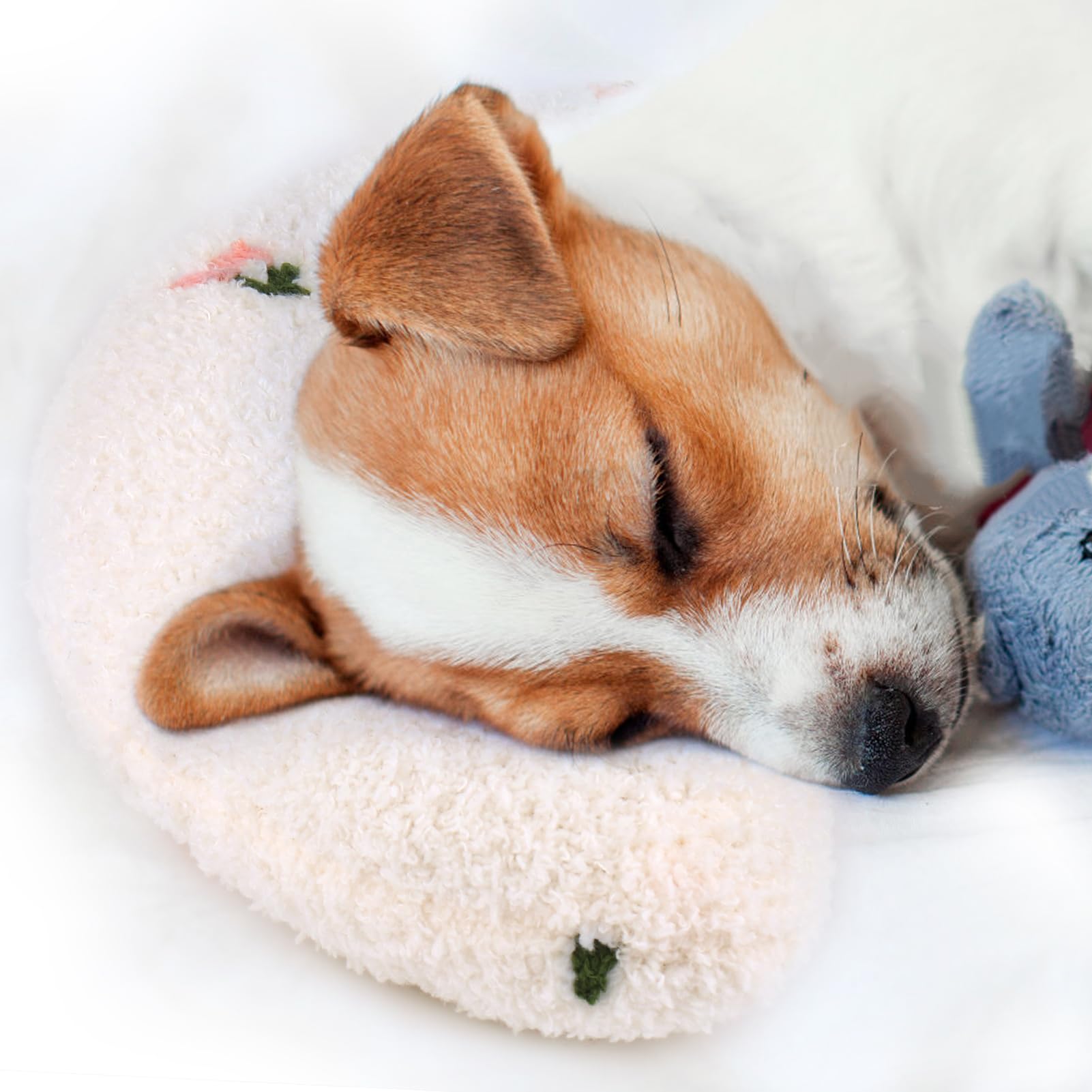 Mity Rain Dog Anxiety Relief Pillow - Ultra Soft High Density Calming Pillow For Joint Relief Sleeping Improve, Pet Calming Toy 