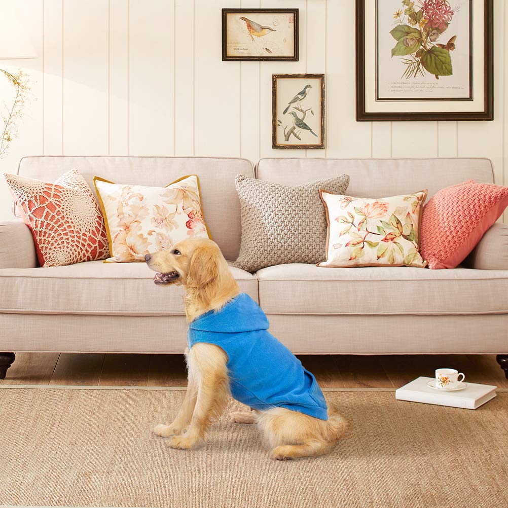 Expawlorer Pet Dog Clothes With Pocket, Polar Fleece Dog Hoodie Fall Cold Winter Sleeveless Sweater With Hat Warm Cozy Sweatshirt For Small To Large Dogs Boy And Girl (Blue, S)