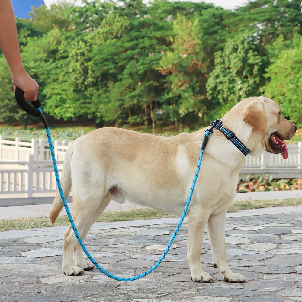 Rttochfy Dog Leash Reflective Rope: 2/4/5/6Ft Heavy Duty Dog Leash For Small Medium Large Dogs Nylon Puppy Leash With Soft Padded Handle For Outside Walking Running