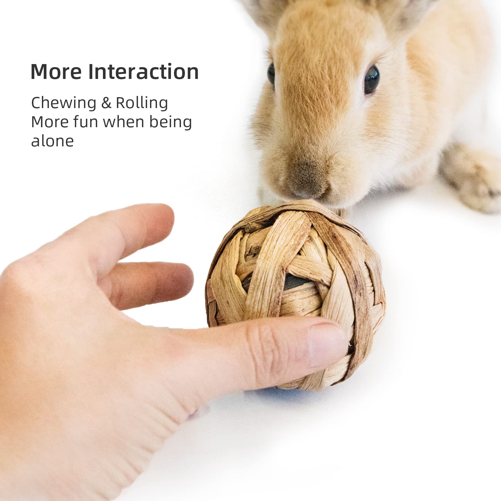 Niteangel Natural Chew Activity Toys Fun Safe Hay Grass Pet Balls for Chinchilla Guinea Pig Rats Rabbits Hamster Gerbil Degu Bun