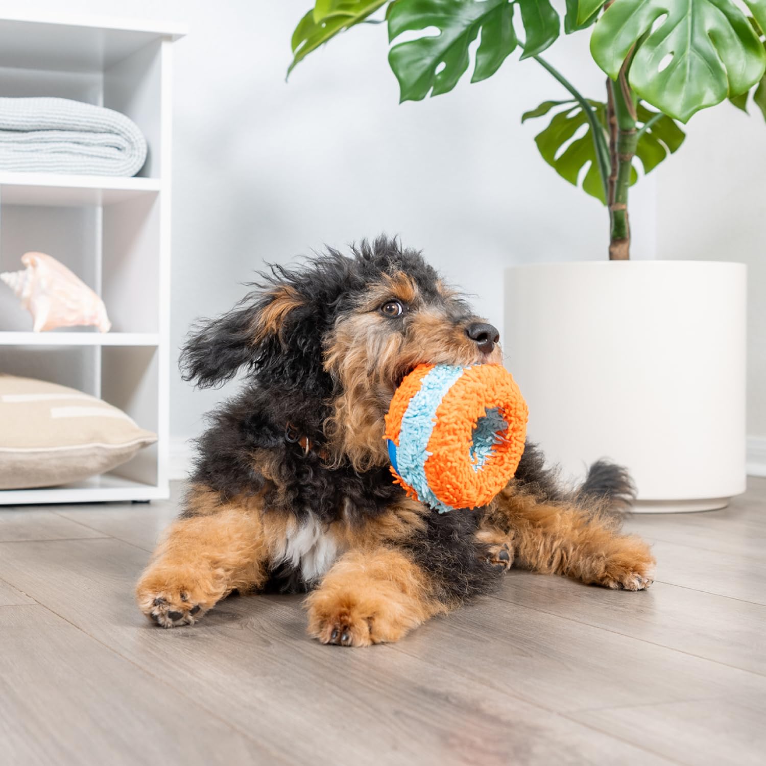 Chuckit! Canine Hardware Indoor Roller Dog Toy