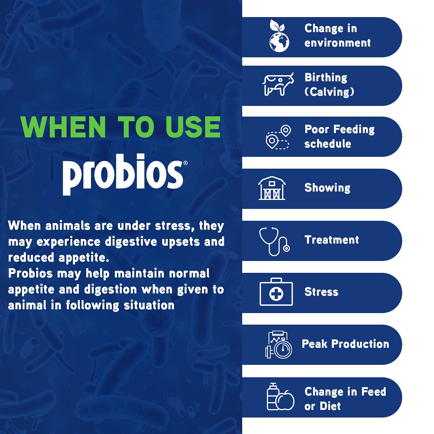 Probios Bovine One Oral Gel for Ruminants, 60cc Tube, Red, Model CHR-101