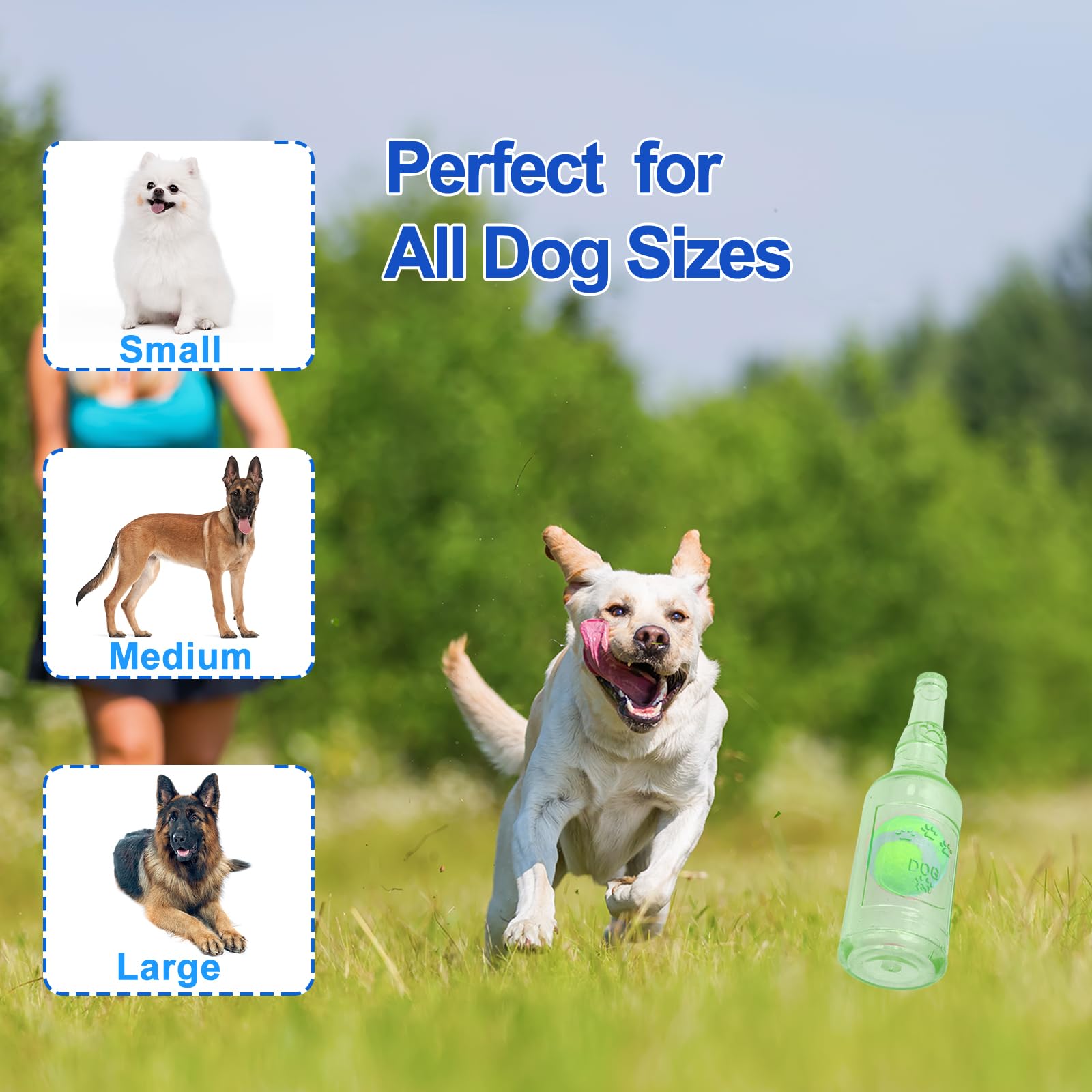 Squeaky Chew Toy For Dogs, Tpr Bottle With Tennis Ball Inside (Green, Large)