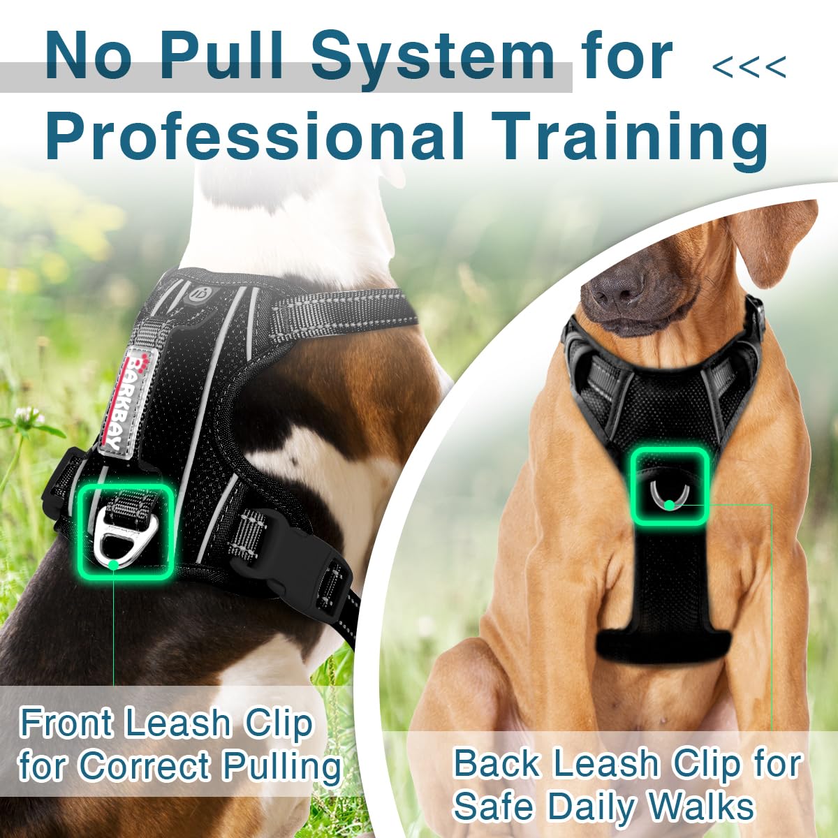 BARKBAY Dog Harness No Pull with ID Tag Pocket - Heavy Duty, Reflective, Easy Control for Large Dogs(Black,M)