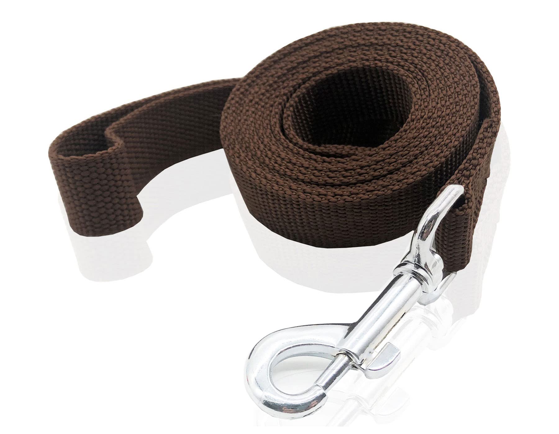 Nylon Dog Leash 12 Feet Long, Walking Training Dog Leashes For Medium Large Dogs(1'' X 12 Ft, Brown)