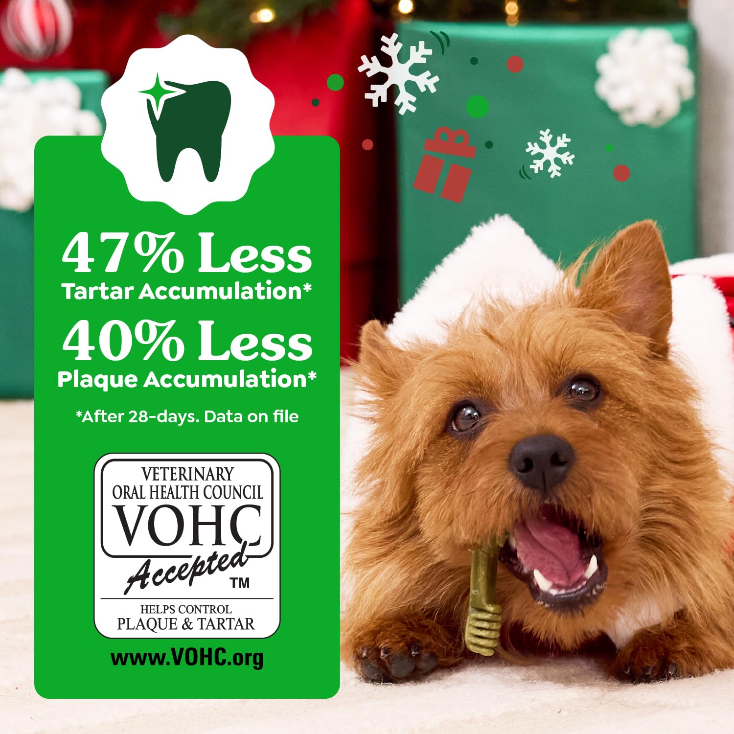 Greenies Large Dental Dog Treats, Gingerbread Flavor, Limited Edition, 12 oz. Pack (8 Treats)