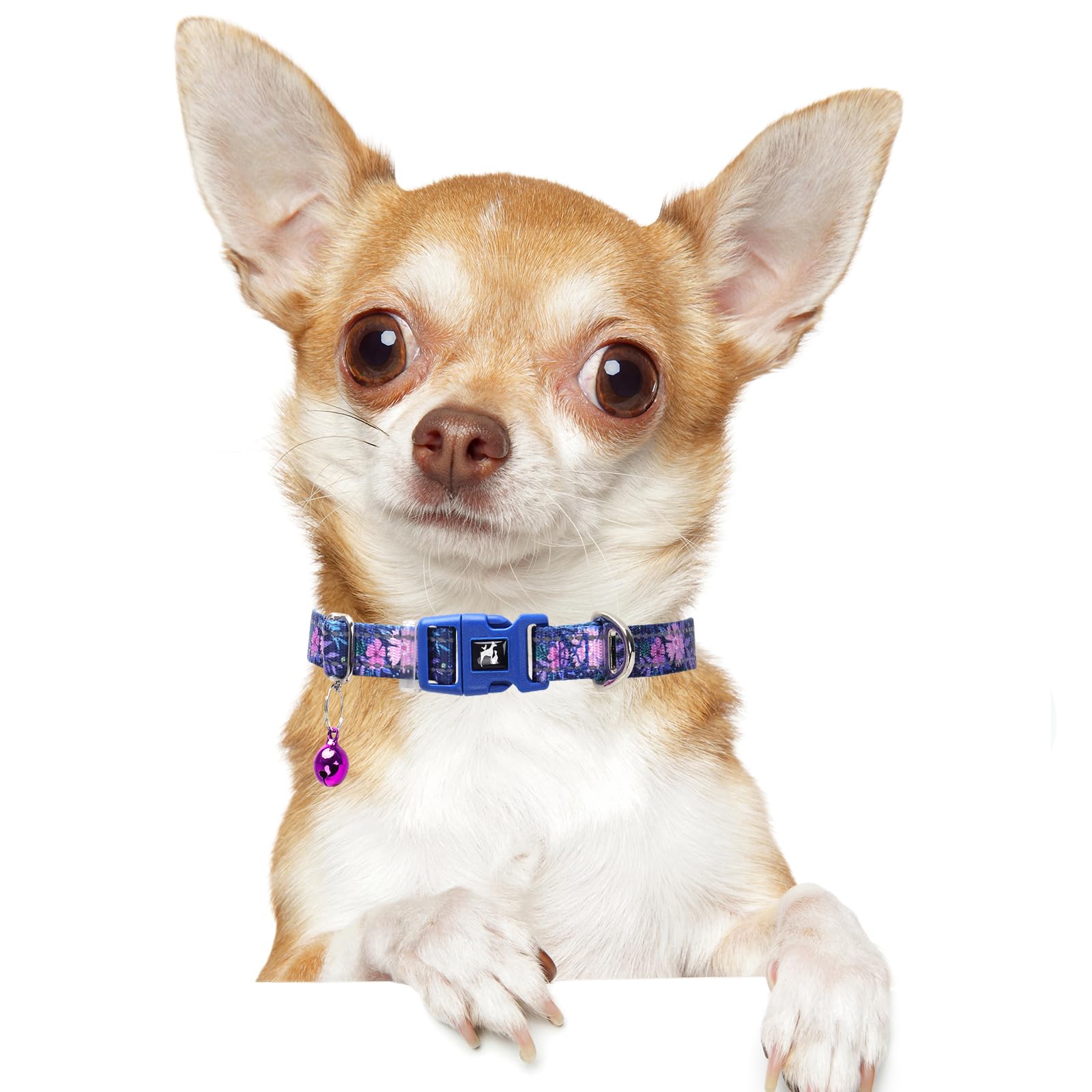 Floral Puppy Collar With Bell - Adjustable Flower Print Dog Collar For Small Dogs, Reflective Soft Comfort Collar For Chihuahua,