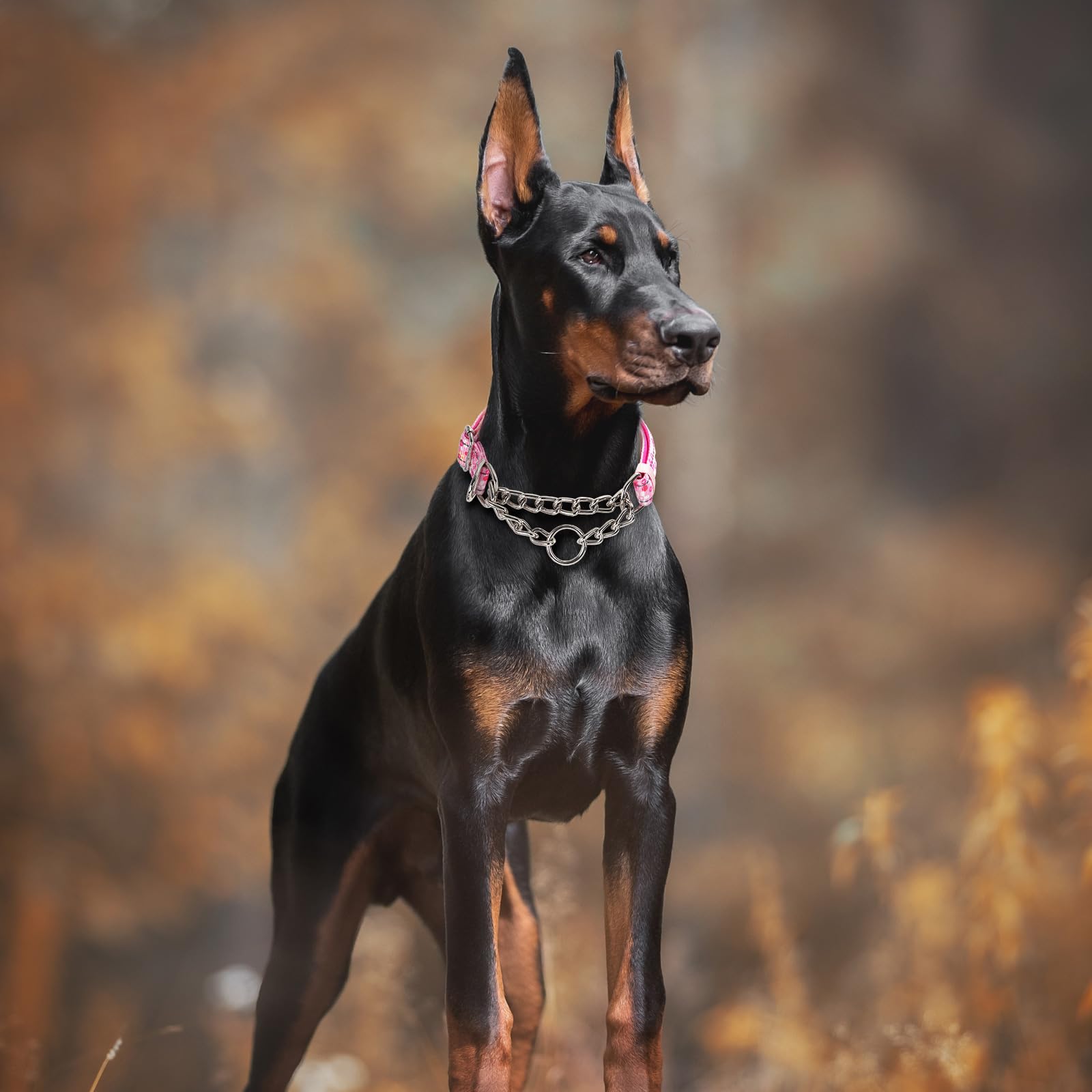 Reflective Martingale Dog Collar With Soft Padded,Adjustable Heavy Duty Choke Steel Chain Big Dog Training, Walking, Hunting Col