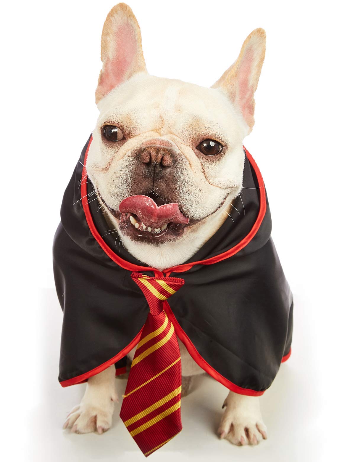 Impoosy Pet Halloween Dog Hoodies Funny Cat Wizard Costume Cute Apparel Soft Shirts Clothes With Glasses (X-Large,Neck:21')
