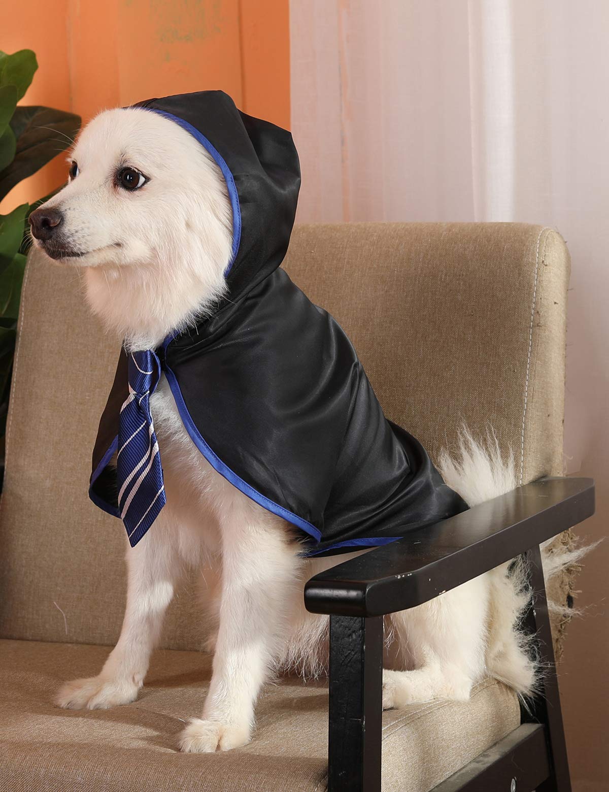 Coomour Halloween Dog Costume Wizard Pet Shirt Funny Cat Clothes For Dogs Cats Clothing Outfits With Glasses (X-Large,Blue)