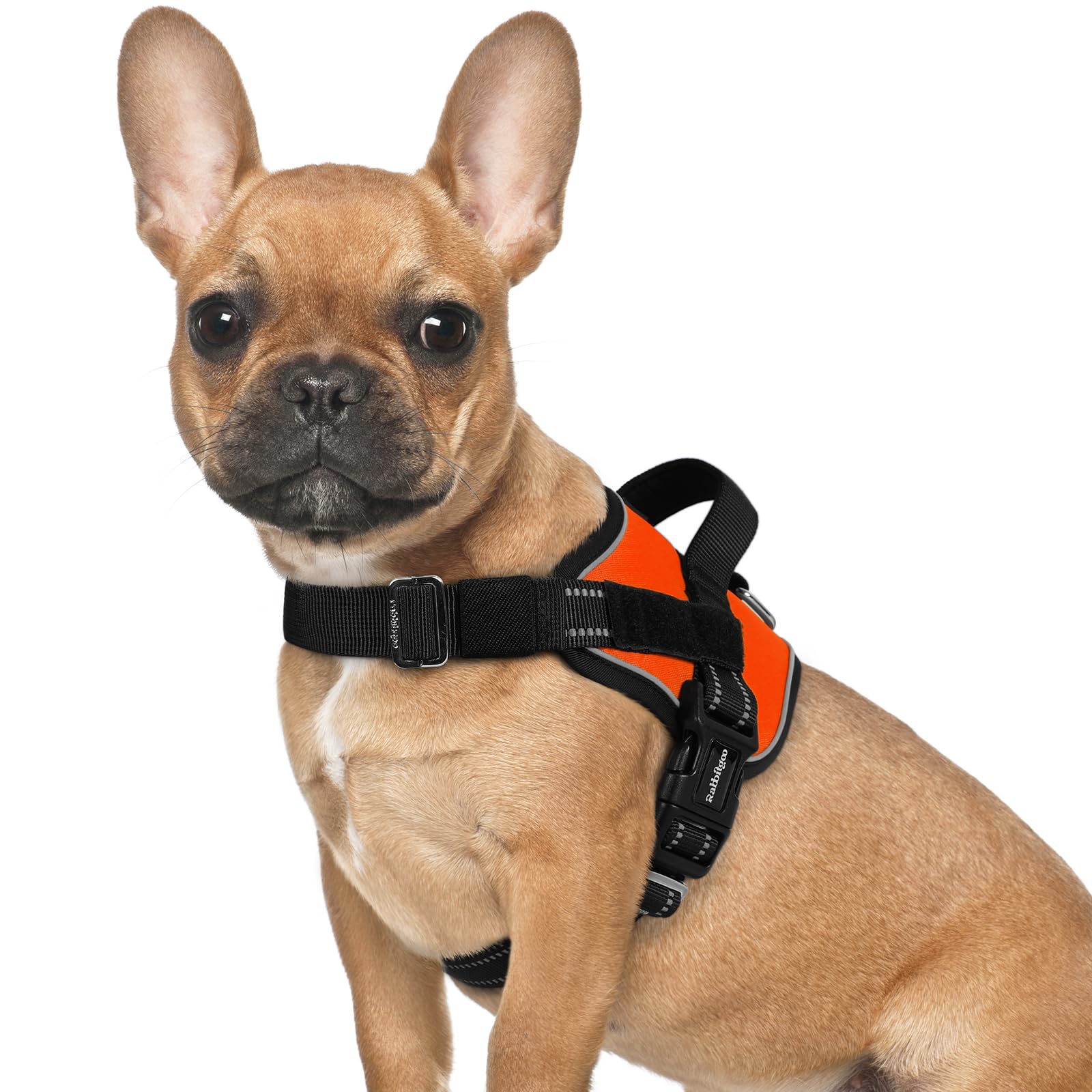 Rabbitgoo Dog Harness For Small, Easy On Pet Vest With One Buckle, No Pull Adjustable Service Harness With D-Ring & Handle, Refl