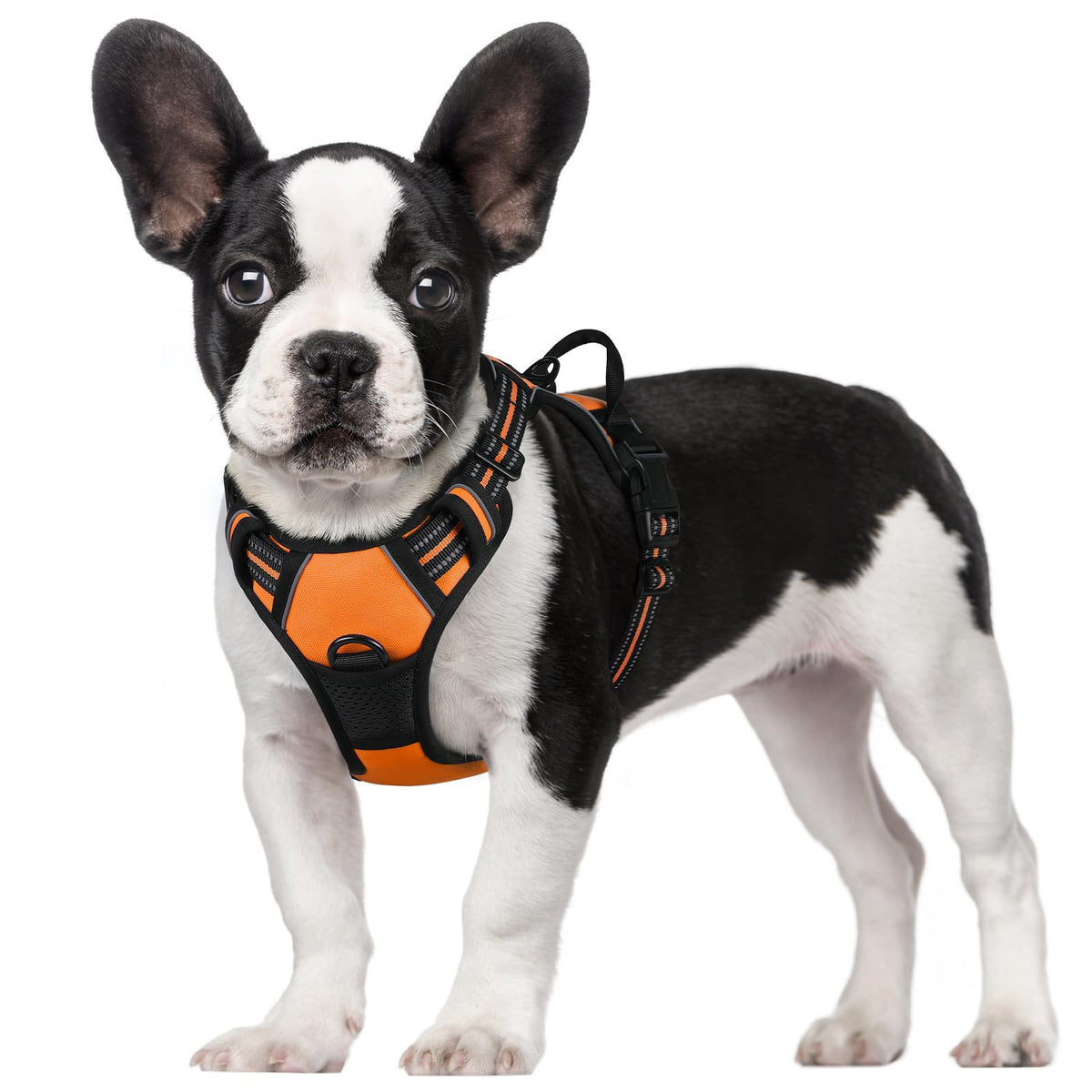 Rabbitgoo Dog Harness, No-Pull Pet Harness With 2 Leash Clips, Adjustable Soft Padded Dog Vest, Reflective No-Choke Pet Oxford Vest With Easy Control Handle For Small Dogs,Orange,S