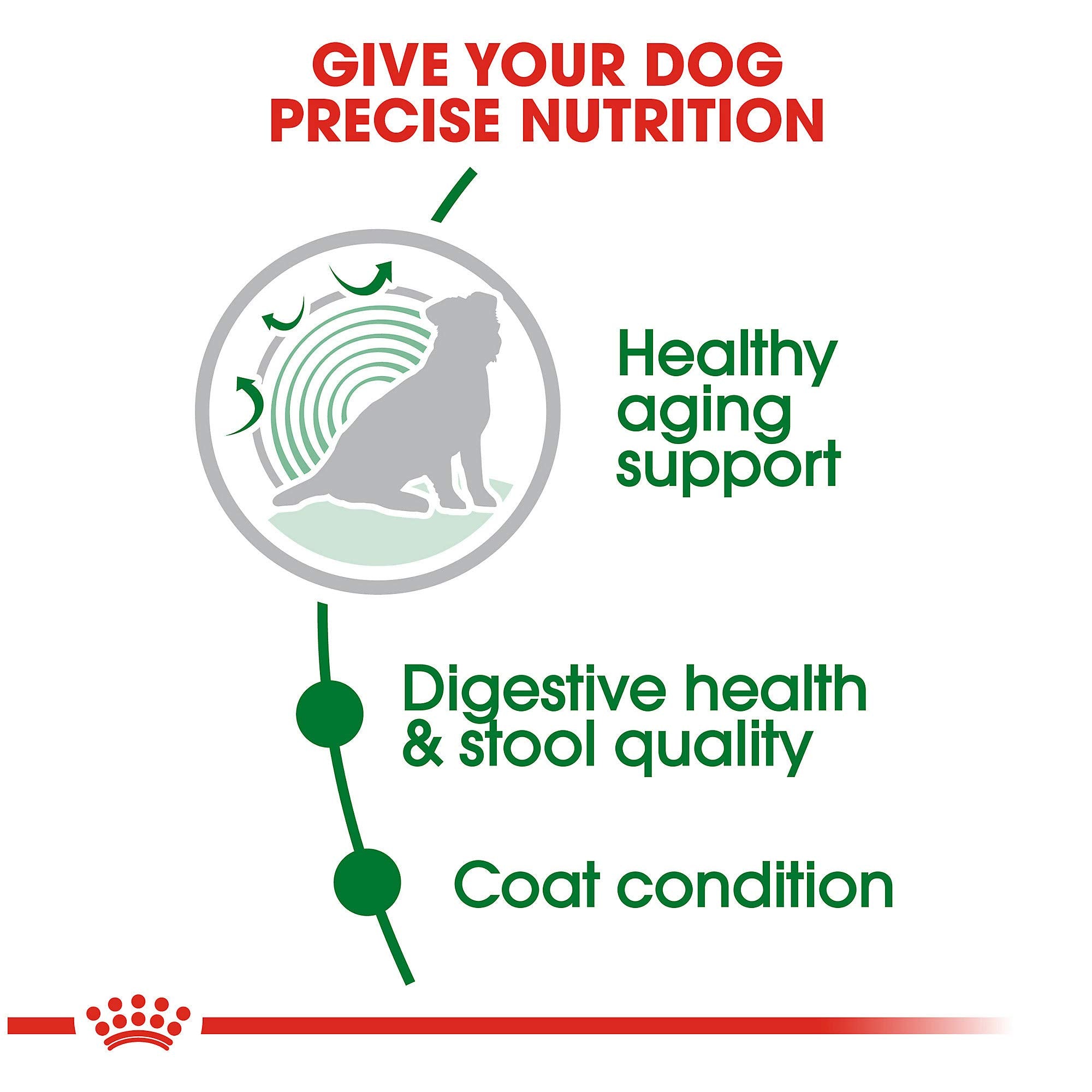 Royal Canin Small Indoor Senior Dry Dog Food, 2.5 lb bag