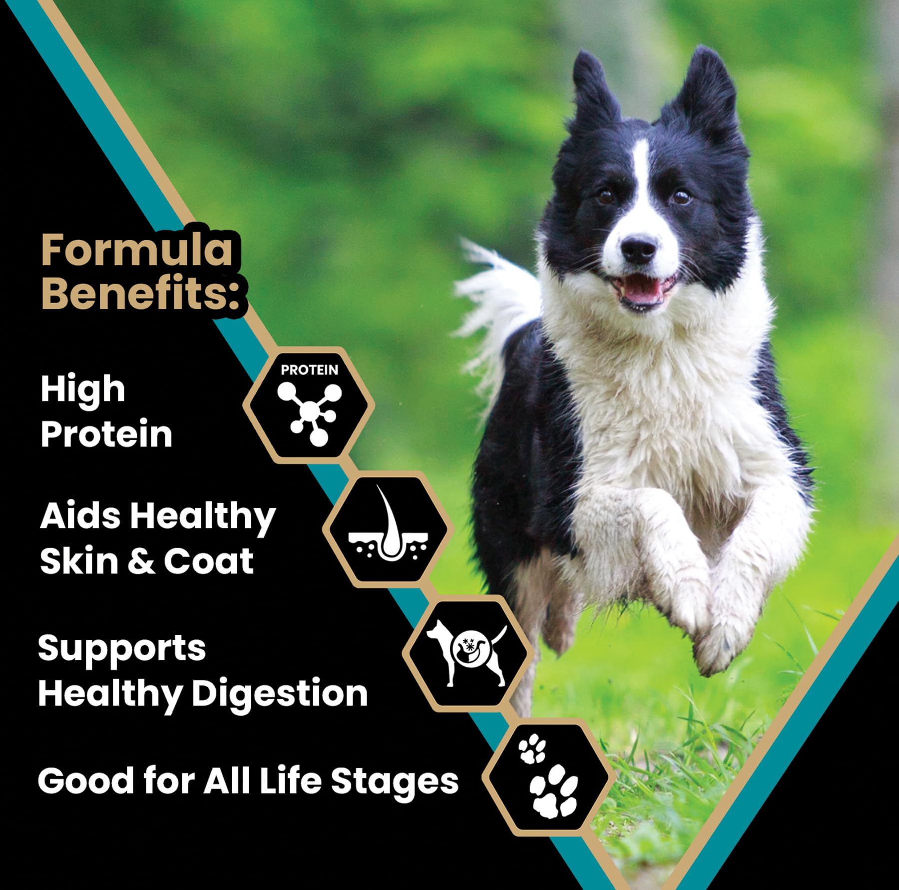 Victor Super Premium Dog Food - Hi-Pro Plus Dry Dog Food - 30% Protein, Gluten Free - for High Energy and Active Dogs & Puppies,