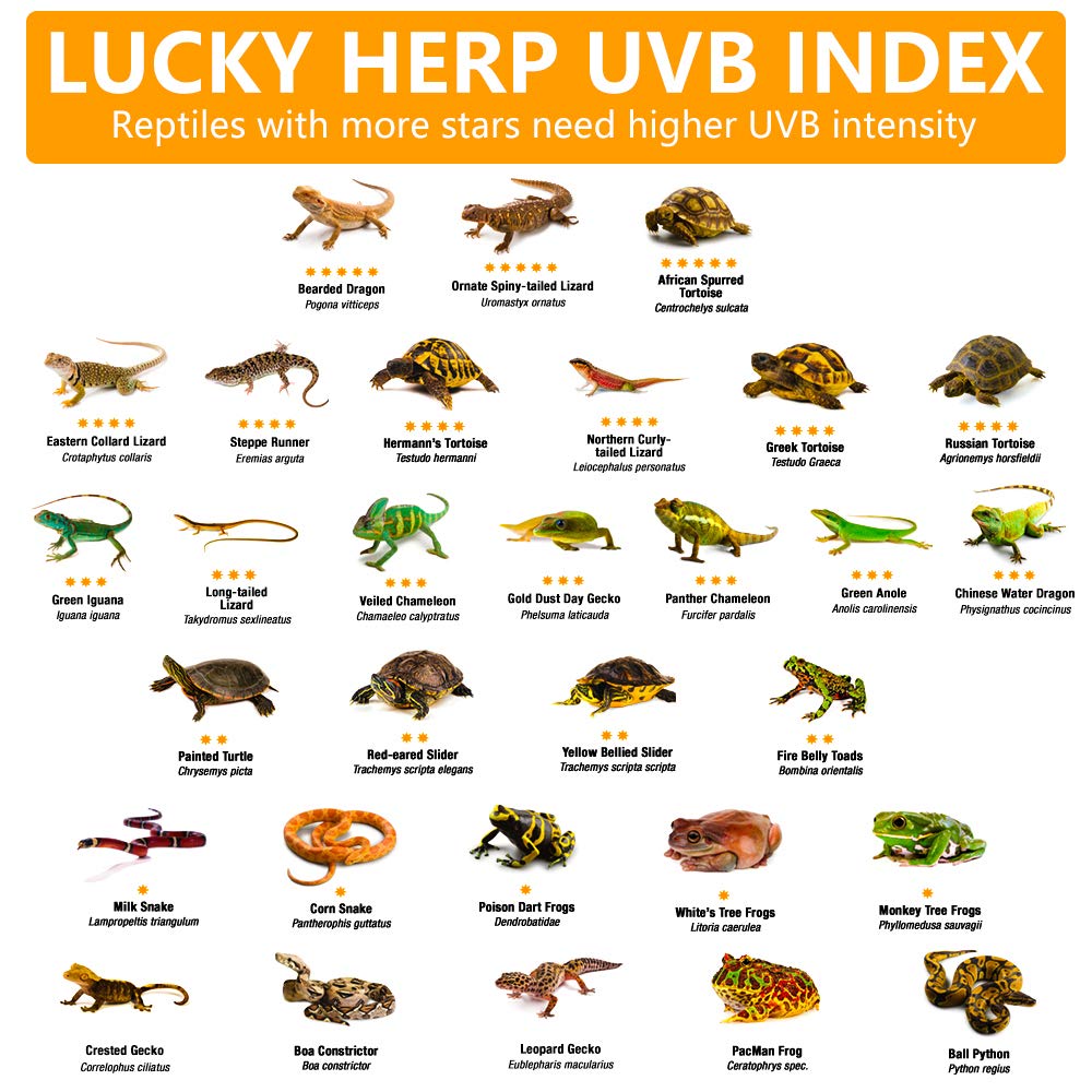 Lucky Herp 15Inch 14W T8 Uvb 10.0 Reptile Light, Uva Uvb Bulb, Fluorescent Lamp For Reptiles Amphibian