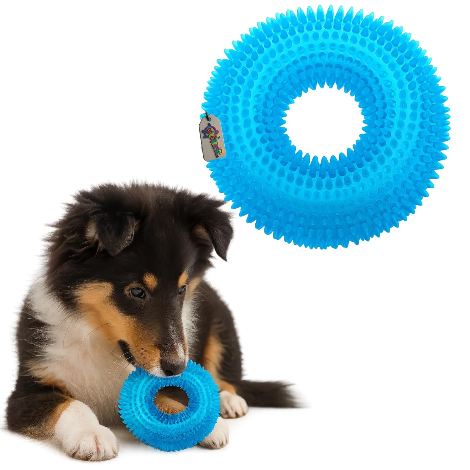 Western Era Spiked Ring Dog Squeaky Toy | Durable Ring For Chewing, Tug & Fetch | Textured Teething For Puppies & Adult Dogs | I