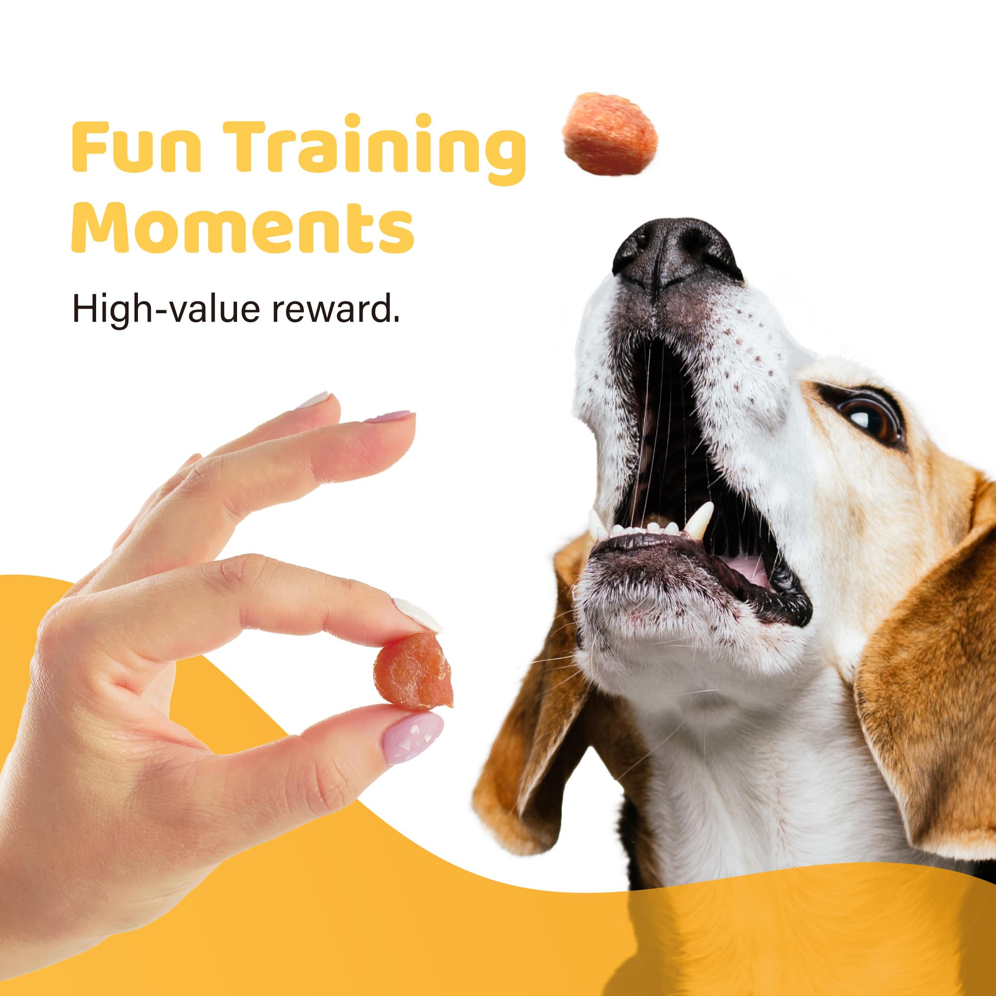 iPaw Turkey Tots Dog Treats for Puppy Training, All Natural Human Grade Dog Treat, US Sourced Raw Material, Hypoallergenic, Easy