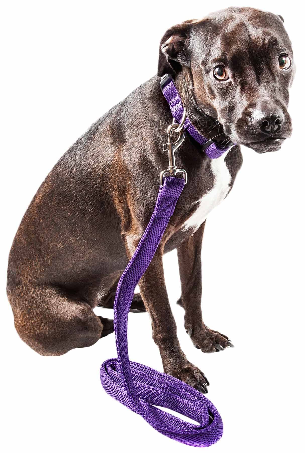 Pet Life  Aero Mesh 360 Degree Dual Sided Comfortable and Breathable Adjustable Fashion Mesh Dog Collar and Dog Leash for Smal