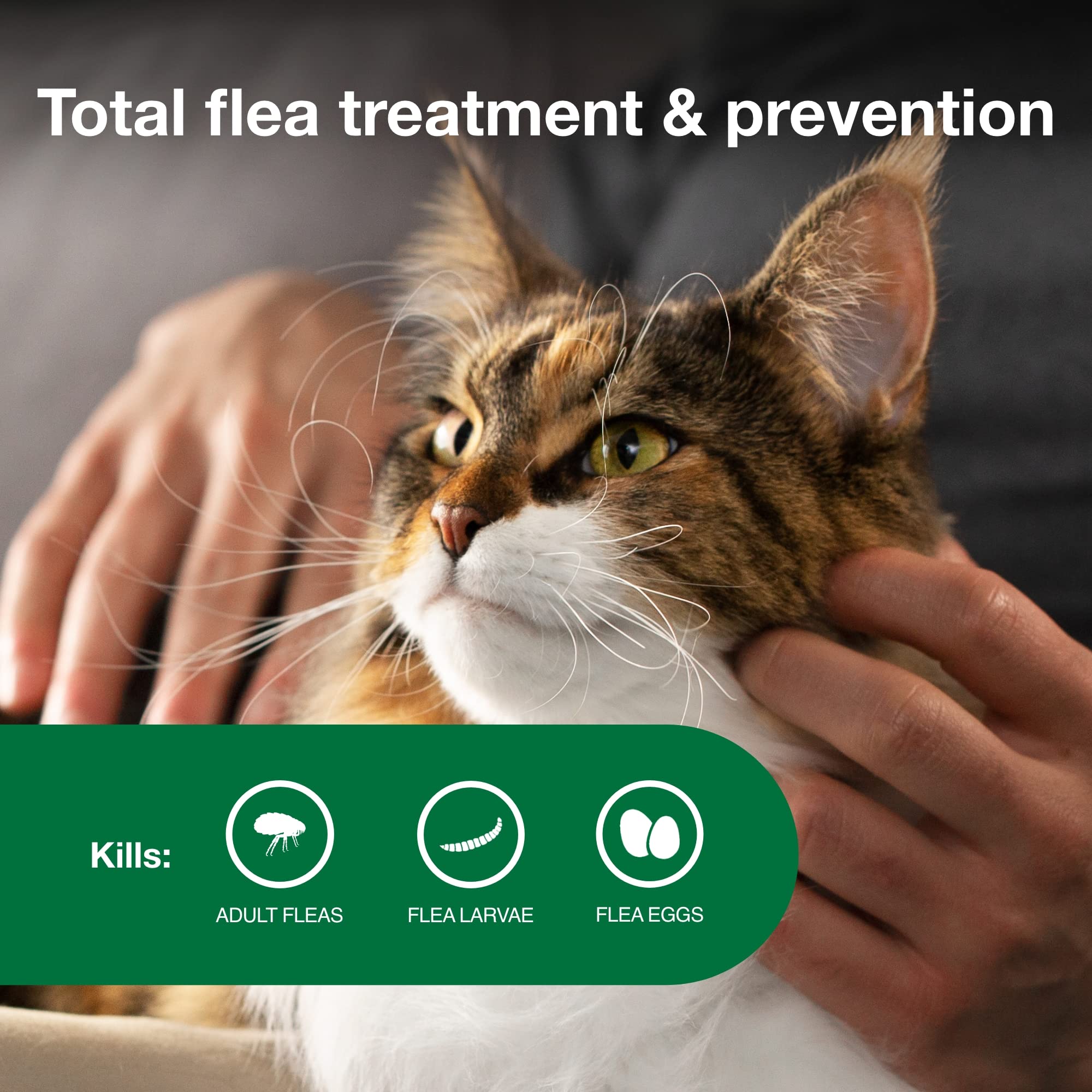 Advantage II Flea Treatment for Large Cats Over 9 lbs - 1-Month Supply, Vet-Recommended, Effective Prevention