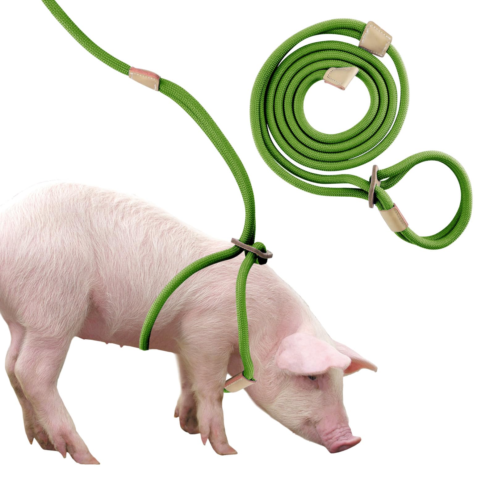 Mini Pig Harness & Leash, Adjustable 8 Feet Long Rope For Small To Medium Pet Pigs