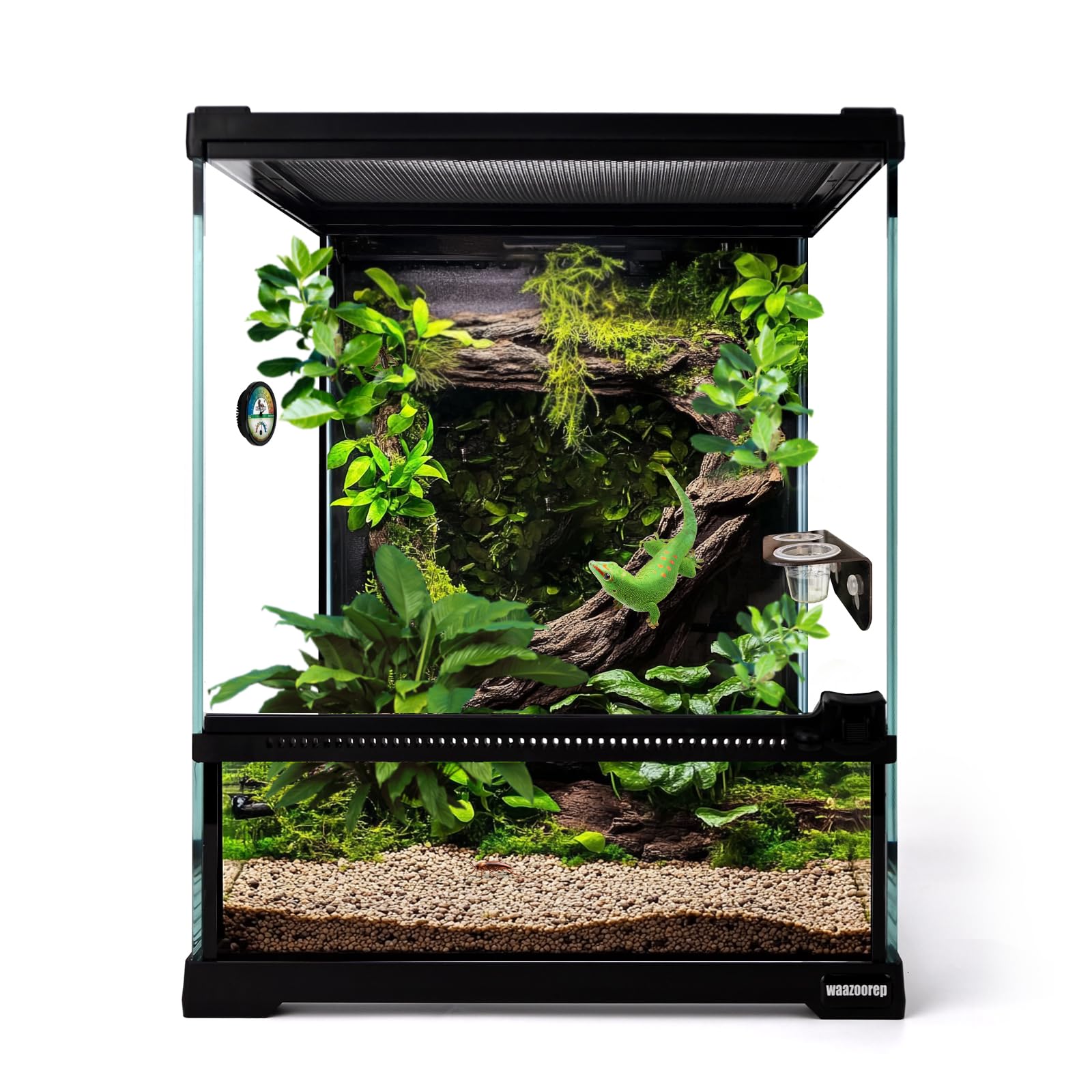 Waazoorep Mini Reptile Glass Terrarium Tank 8'*8'*10' Full View With Front Opening Door,Amphibians Enclosure Habitat Cage For