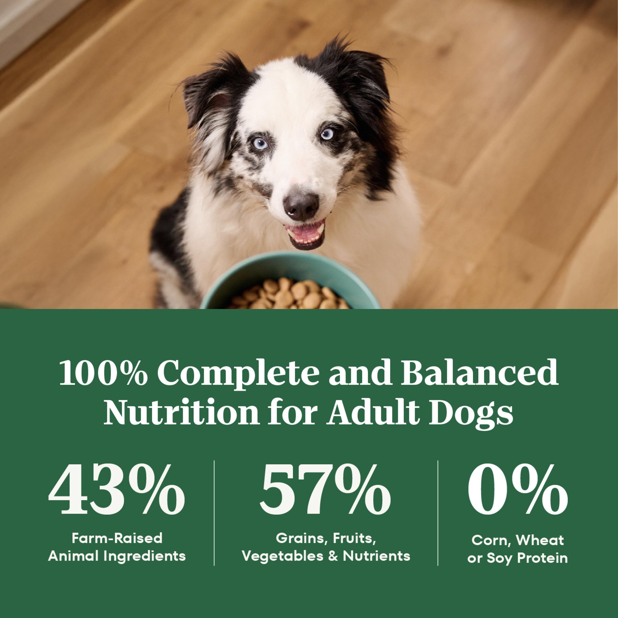 Nutro Natural Choice Adult Dry Dog Food, Beef and Brown Rice Recipe, 28 lbs.