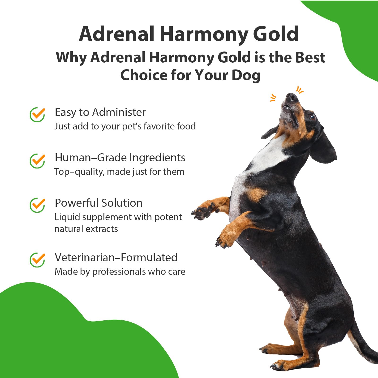 Pet Wellbeing Adrenal Harmony Gold for Dogs - Supports Adrenal Function & Normal Cortisol Levels with Ashwagandha & Bacopa - NAS