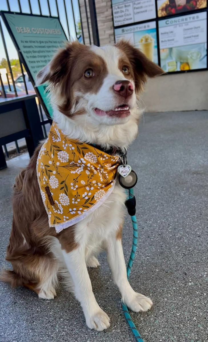 Lionet Paws Flower Dog Bandana,Fabric Yellow Dogs Kerchief For Small Medium Large Dogs,Dog Cotton Triangle Bibs Scarf For Girl B