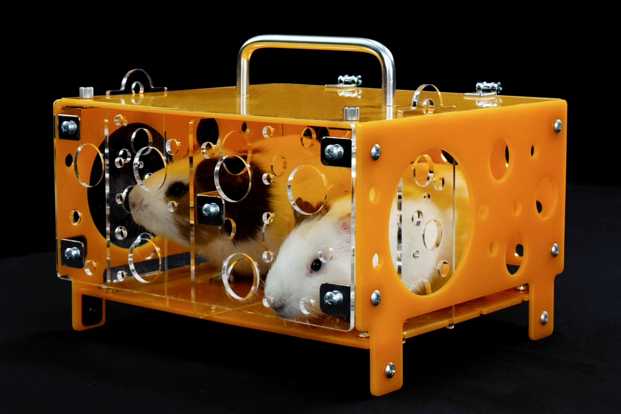 GuineaLoft Guinea Pig Cheese House (Double) V2 - The Ultimate Guinea Pig Hideout by Seasoned Owners Who Tried Everything Out The