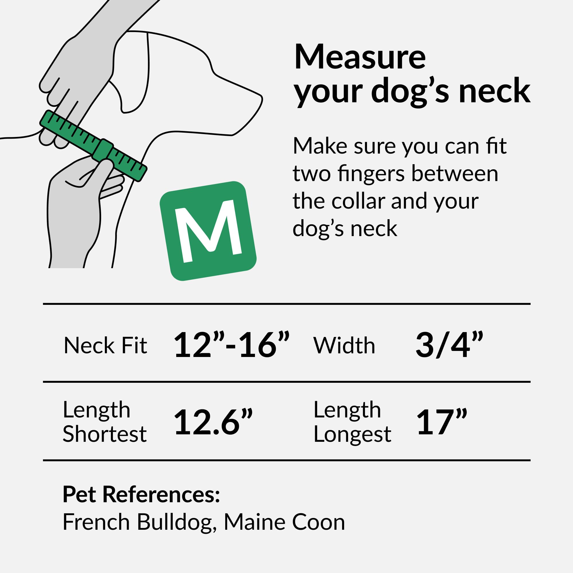 Collardirect Reflective Padded Dog Collar For A Small, Medium, Large Dog Or Puppy With A Quick Release Buckle - Boy And Girl - Nylon Suitable For Swimming (12-16 Inch, Purple)