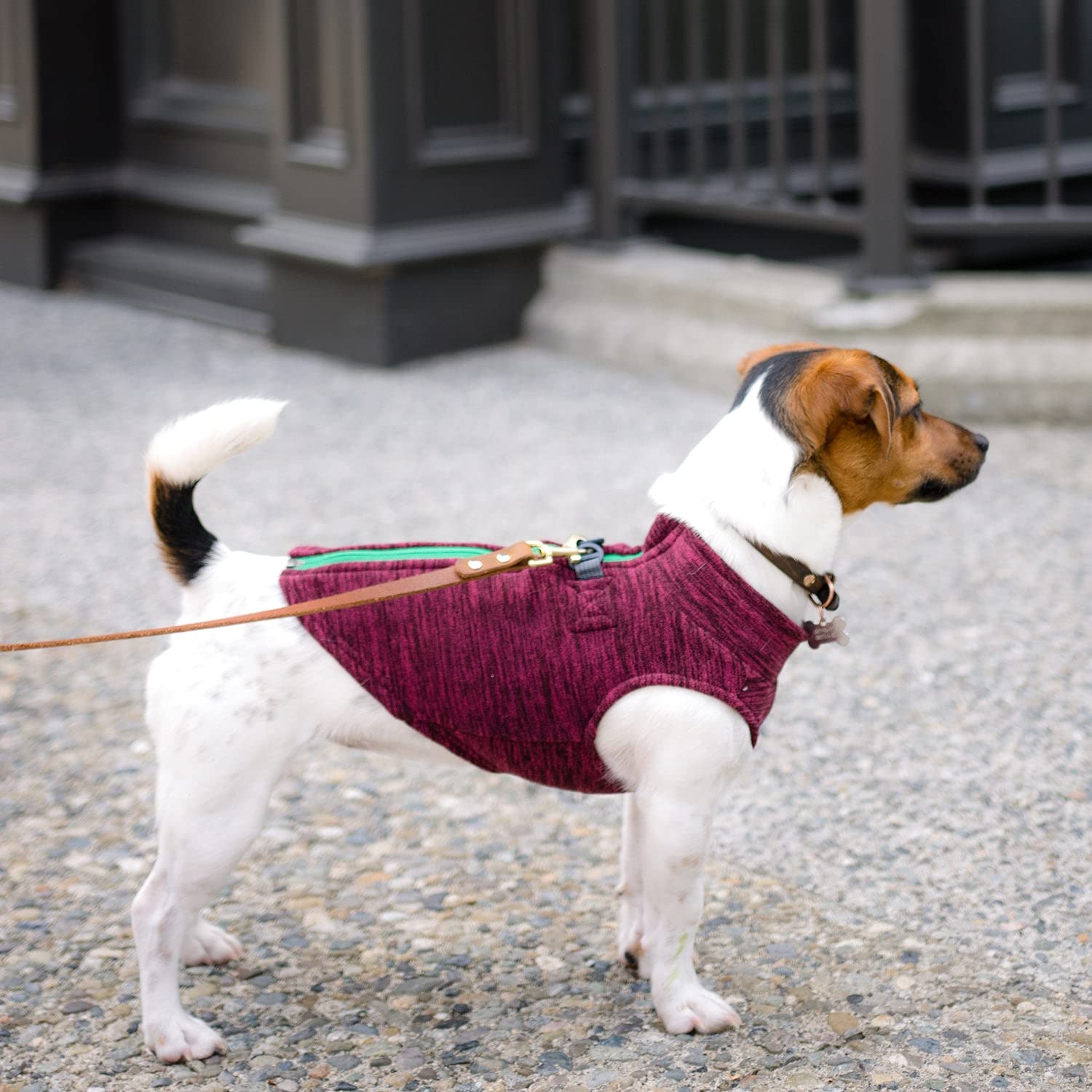Gooby Zip Up Fleece Dog Sweater - Fuchsia Wash, Small - Warm Pullover Fleece Step-In Dog Jacket With Dual D Ring Leash - Winter