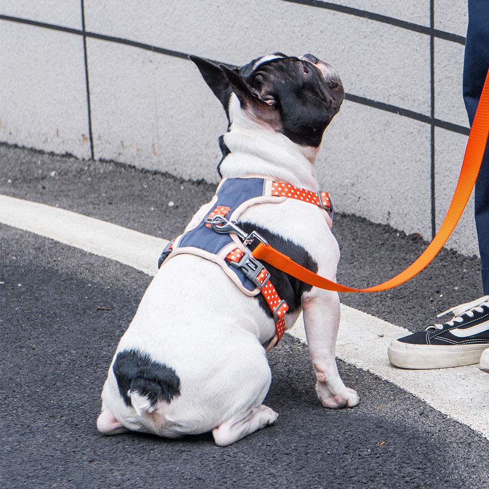 Cute Dog Harness Pet Soft Adjustable Vest Best Reflective Walking Harness Easy Control For Small Medium Large Dogs Orange S