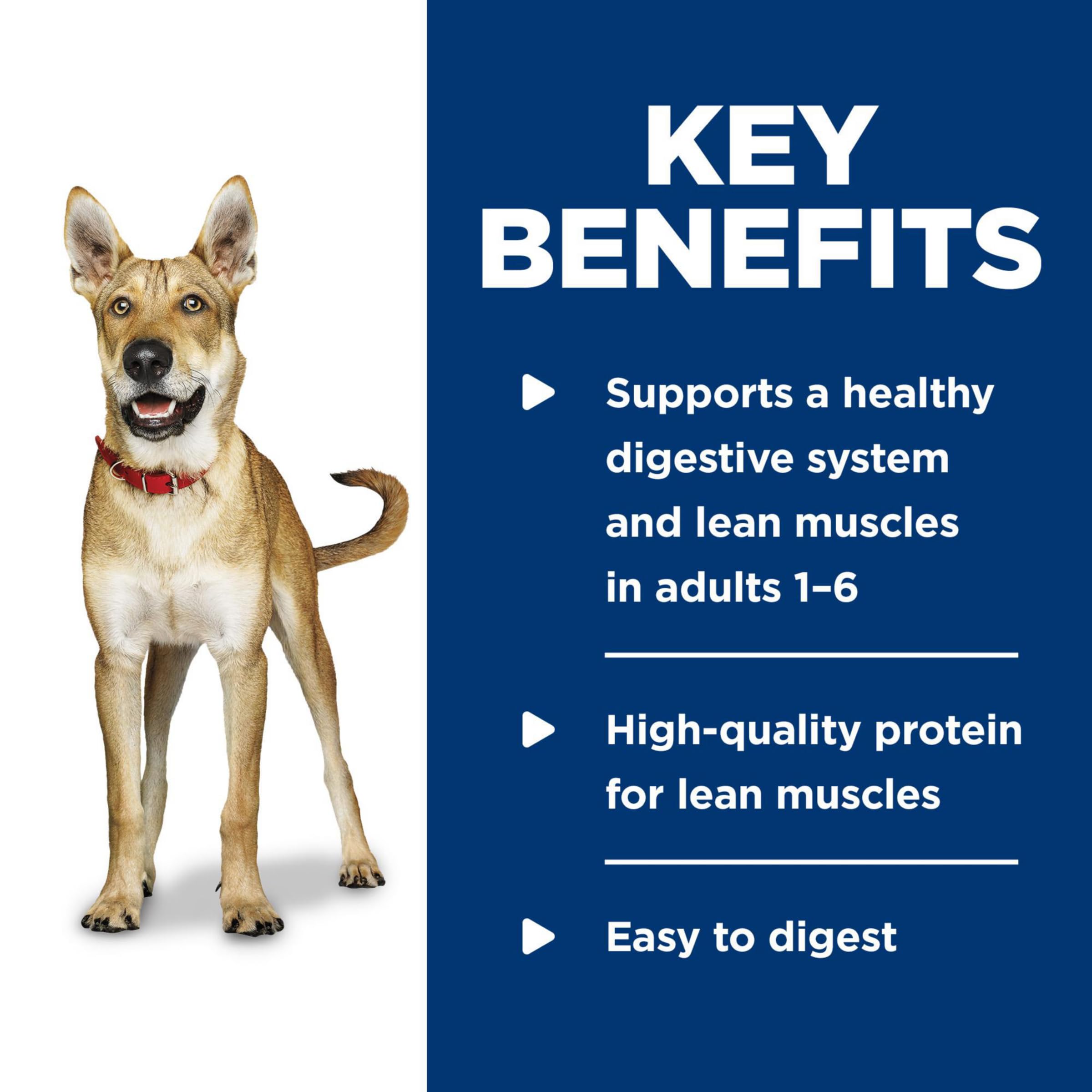 Hills Science Diet Adult 1-6, Adult 1-6 Premium Nutrition, Wet Dog Food, Beef & Barley Loaf, 5.8 oz Can, Case of 24