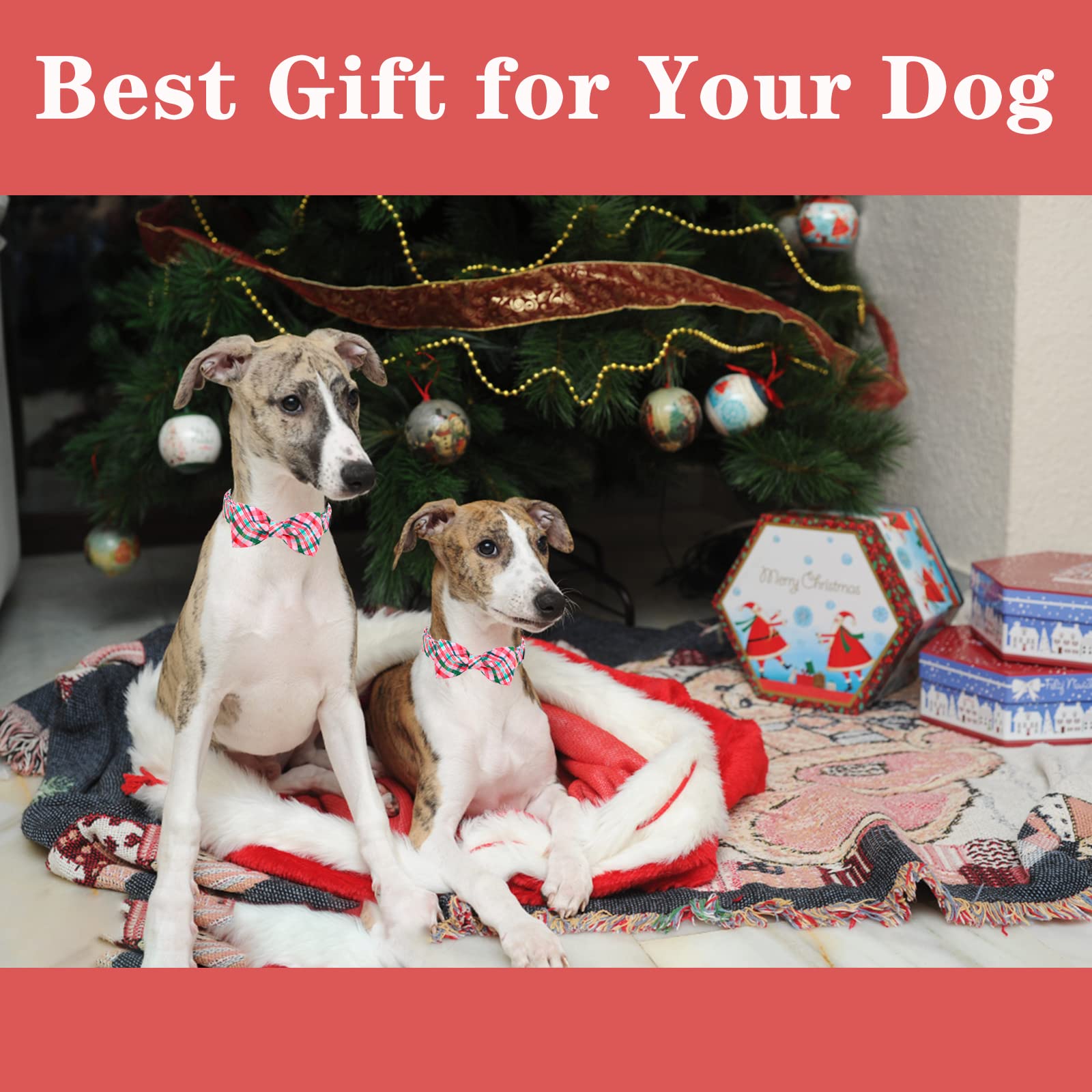 Unique Style Paws Dog Collar With Bow Pink & Green Plaid Dog Collar Best Gifts For Small Medium Large Dogs -L