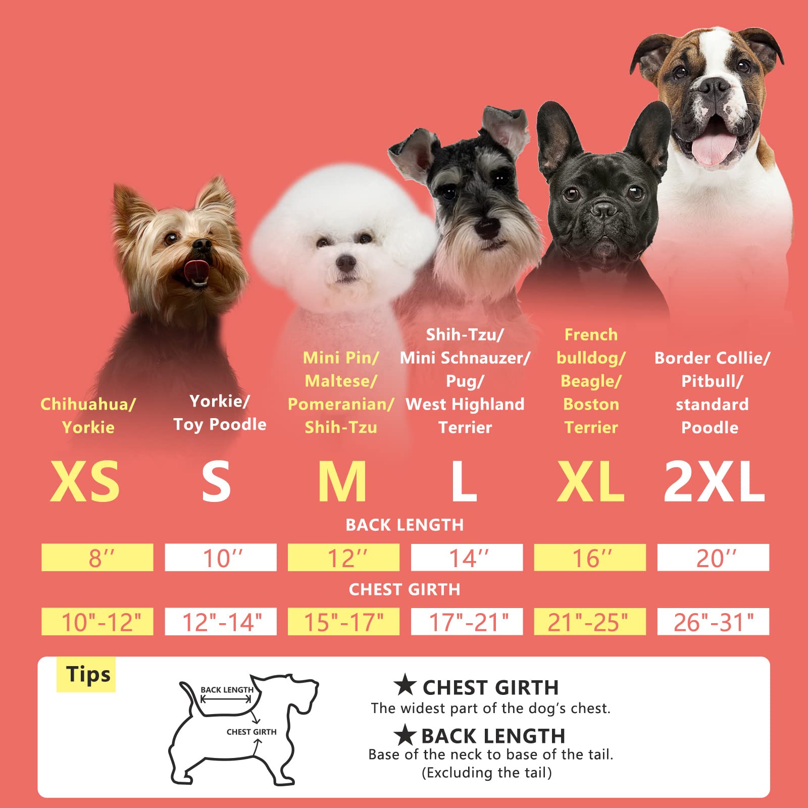 Kyeese Dog Sweaters Turtleneck Beige Small Dog Sweater Knitwear Pullover Warm Pet Sweater With Golden Yarn Decors