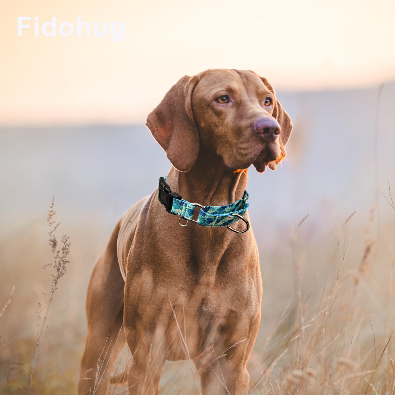 Fidohug Reflective Martingale Collar With Buckle Adjustable Nylon Training Pet Collars For Large Dogs (Turquoise Shell, L)