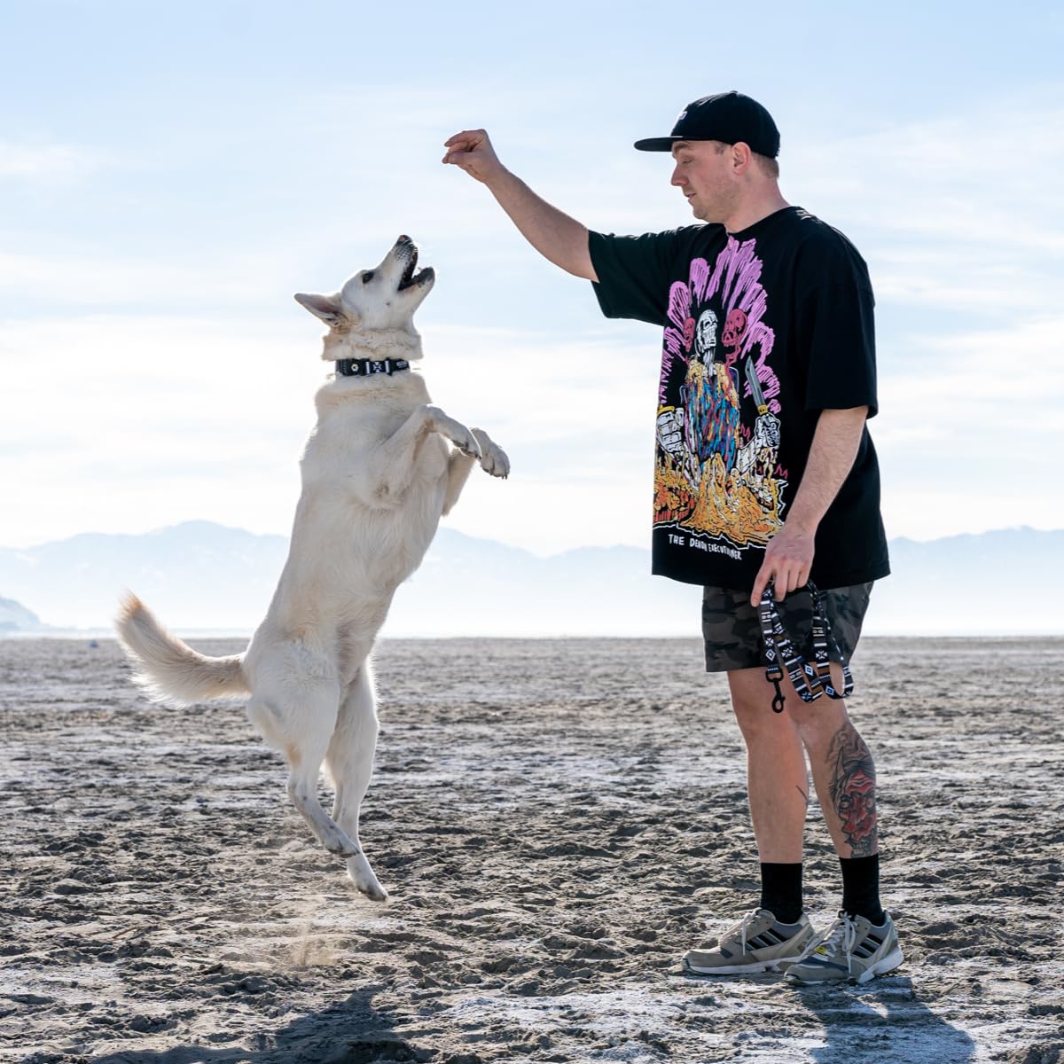 Wolfgang Heavy Duty, Adjustable Dog Collar With Quick Release Nylon Buckle For Walking & Training, Newmoon Print, Large