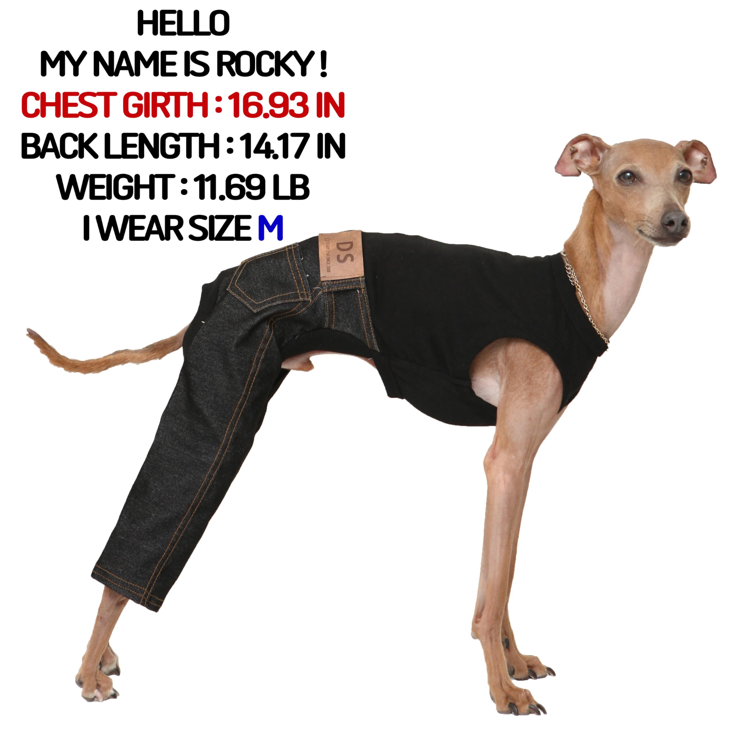 D Doggy Star Italian Greyhound Clothes Sleeveless Jeans Onesie Outfit Whippet For Dog Coat (2Xl,Black Jean)