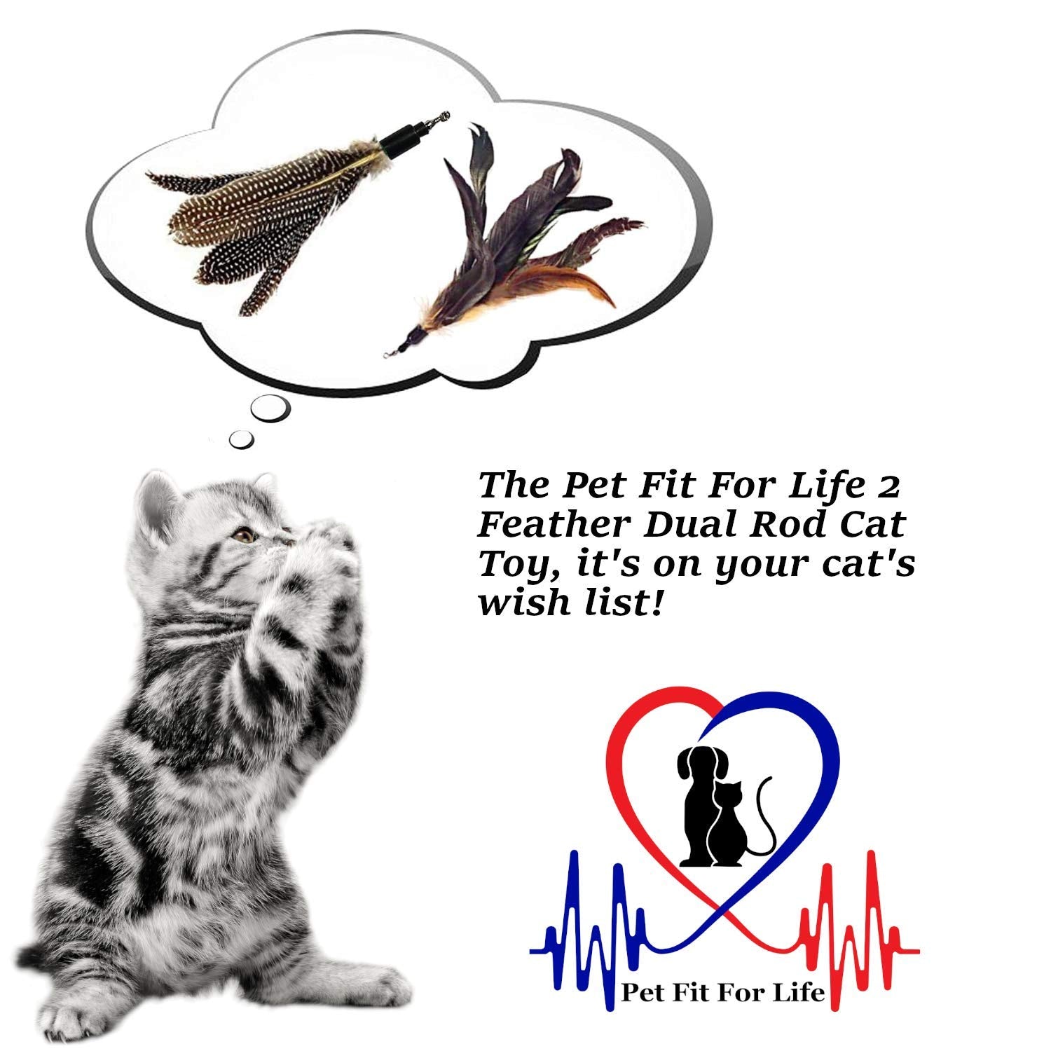 Pet Fit For Life 2 Feather Teaser And Exerciser For Cat And Kitten - Cat Toy Interactive Cat Wand