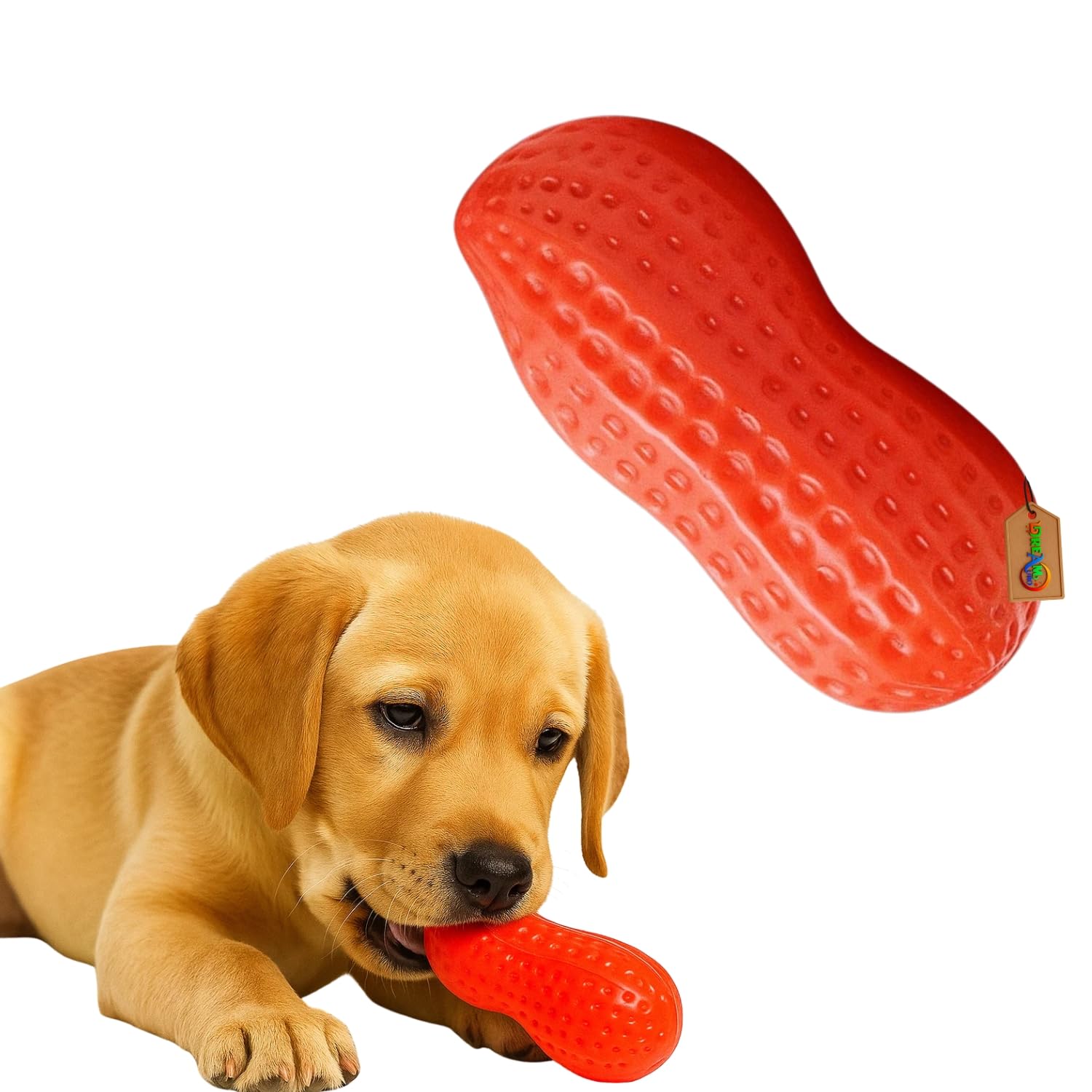 DreamAuro Big Ground Nut Pet Squeaky Toy  Peanut Shape Dog Chew with Sound Stimulation for Play, Dental Care & Training | Safe 