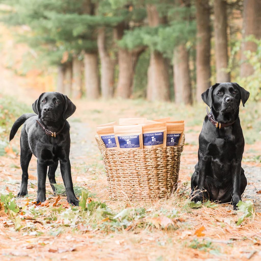 2 Dogs Treats Chicken Jerky - 100% USA-Sourced, Grain-Free, 7 oz, Single-Ingredient, Great for Sensitive Stomachs, High Value for Training