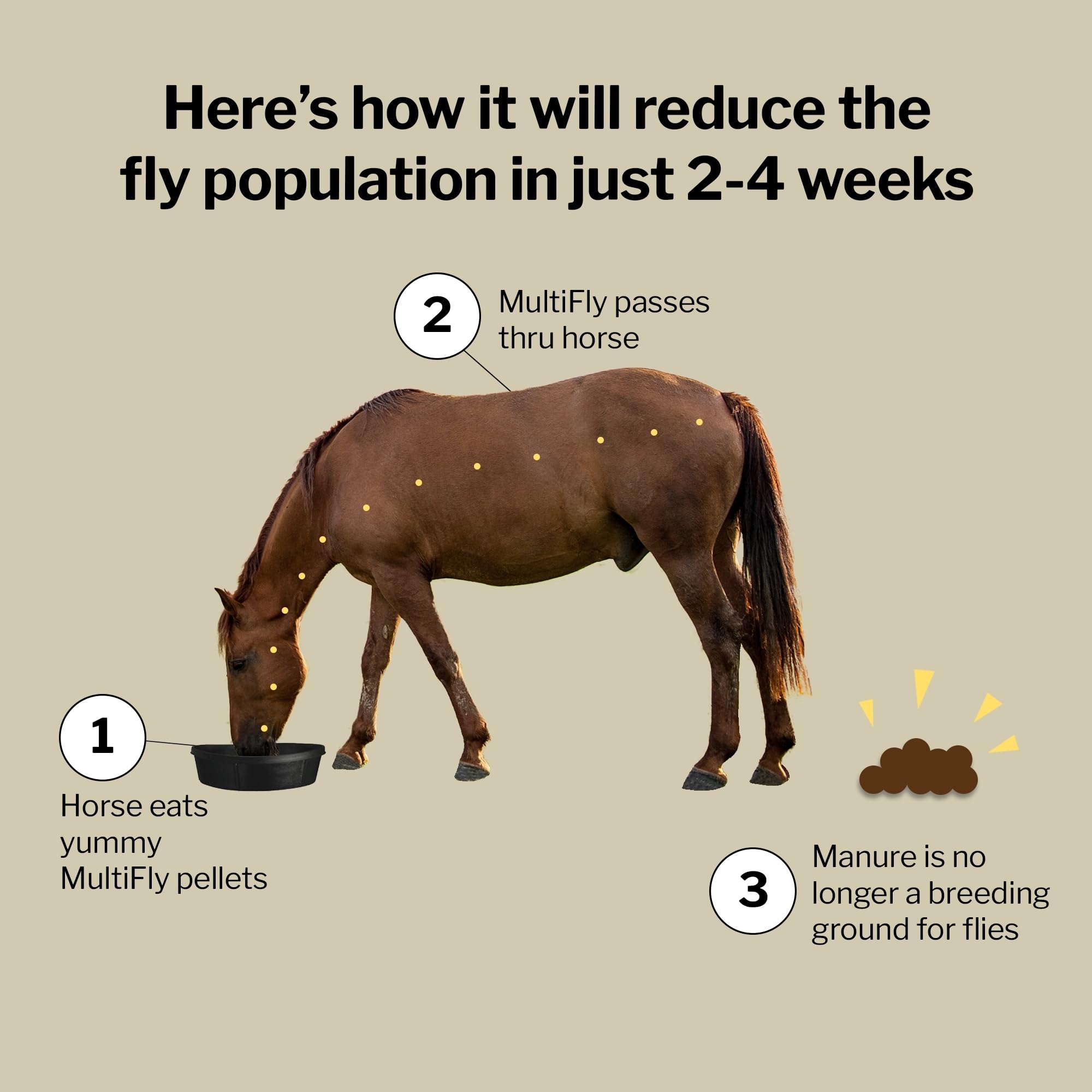 Formula 707 MultiFly Feed-Thru Fly Control Pellets for Horses - Palatable & Safe Fly Population Reduction (5 lb Bag - 91 Serving