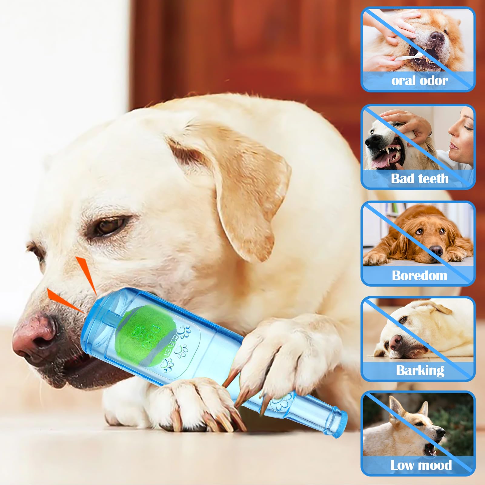 Mity Rain Water Bottle Dog Toy - Dog Toys For Aggressive Chewers Cute Squeaky Dog Toys For Large/Medium/Small Dogs Interactive D