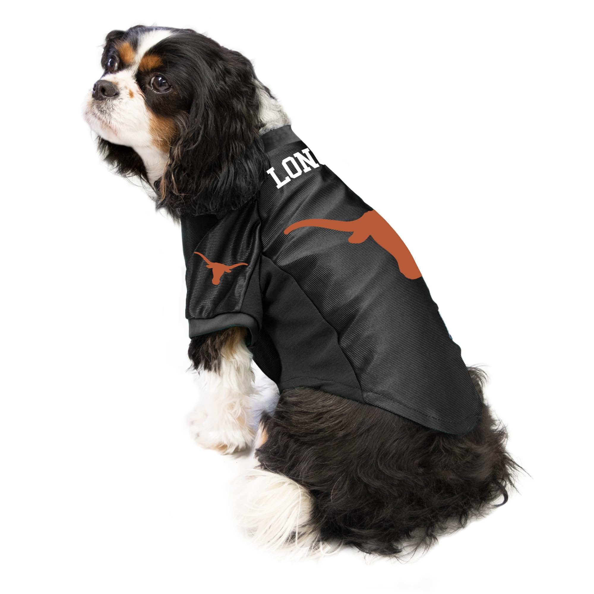 Littlearth Texas Longhorns NCAA Stretch Pet Jersey